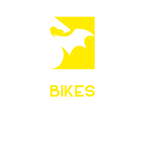 Logo vertical amarillo Drago Bikes Fitting.